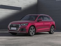 Audi Q5L [CN] 2019 stickers 1351396