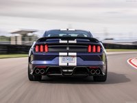 Ford Mustang Shelby GT350 2019 stickers 1353276