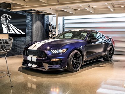 Ford Mustang Shelby GT350 2019 calendar