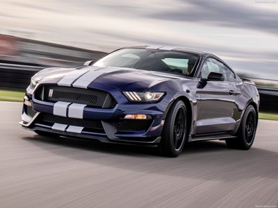 Ford Mustang Shelby GT350 2019 puzzle 1353284