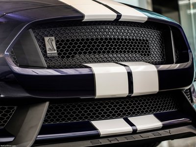 Ford Mustang Shelby GT350 2019 Poster 1353285