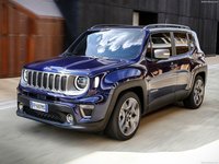 Jeep Renegade 2019 stickers 1355267