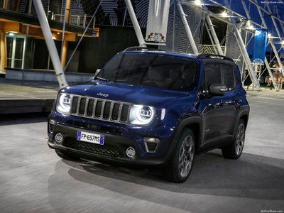 Jeep Renegade 2019 stickers 1355276