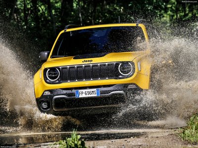 Jeep Renegade 2019 stickers 1355295