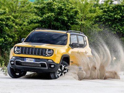 Jeep Renegade 2019 stickers 1355296
