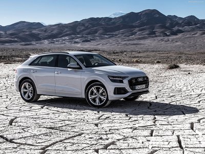 Audi Q8 2019 puzzle 1356785