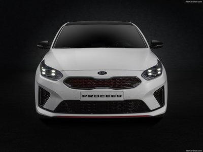 Kia ProCeed 2019 wooden framed poster