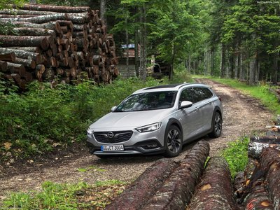 Opel Insignia Country Tourer 2018 Poster 1361377