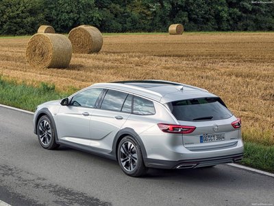 Opel Insignia Country Tourer 2018 Poster 1361447