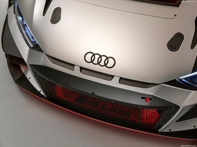 Audi R8 LMS GT3 2019 poster