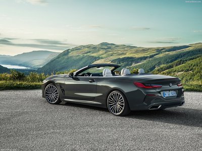 BMW 8-Series Convertible 2019 wooden framed poster