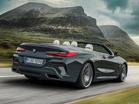 BMW 8-Series Convertible 2019 stickers 1363012