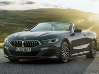 BMW 8-Series Convertible 2019 stickers 1363015