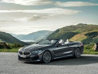 BMW 8-Series Convertible 2019 stickers 1363018