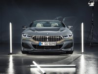 BMW 8-Series Convertible 2019 stickers 1363027