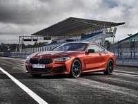 BMW 8-Series Coupe 2019 puzzle 1363337