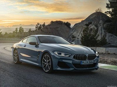 BMW 8-Series Coupe 2019 puzzle 1363349