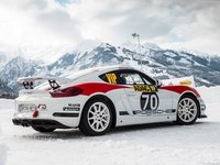 Porsche Cayman GT4 Rallye Concept 2019 Poster 1367872
