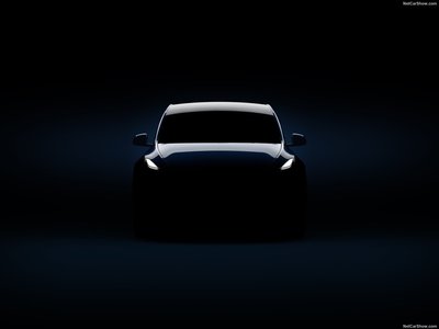 Tesla Model Y 2021 tote bag