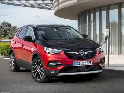 Opel Grandland X Hybrid4 2019 calendar