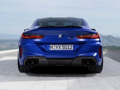 BMW M8 Competition Coupe 2020 stickers 1372425