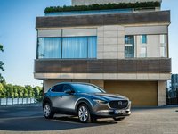 Mazda CX-30 2020 puzzle 1376260