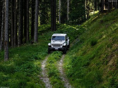 Jeep Gladiator [EU]  2020 Poster 1377340