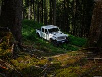 Jeep Gladiator [EU]  2020 stickers 1377347