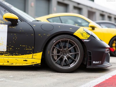 Porsche 718 Cayman GT4 Clubsport  2019 stickers 1378932