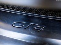 Porsche 718 Cayman GT4 Clubsport  2019 stickers 1378942