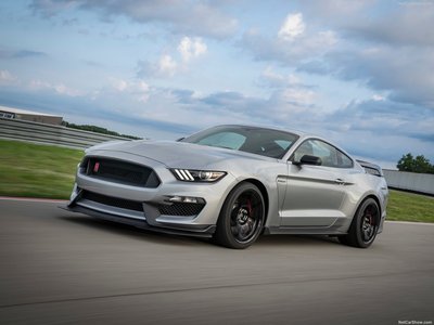 Ford Mustang Shelby GT350R  2020 canvas poster