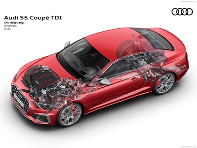 Audi S5 Coupe TDI 2020 Poster 1381477