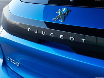 Peugeot e-208 2020 stickers 1382202