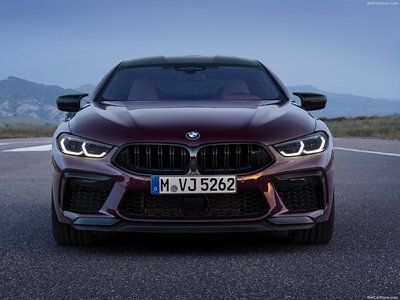 BMW M8 Gran Coupe Competition 2020 stickers 1384631