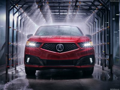 Acura MDX PMC Edition 2020 pillow
