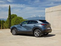 Mazda CX-30 2020 Mouse Pad 1388788