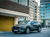 Mazda CX-30 2020 Mouse Pad 1388968