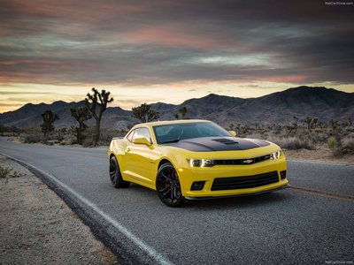 Chevrolet Camaro 1LE 2014 Poster with Hanger