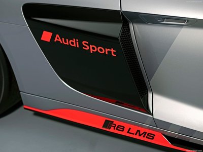 Audi R8 LMS GT4 2020 stickers 1391441