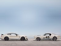 Ford Mustang Shelby GT350 Heritage Edition 2020 Poster 1392700