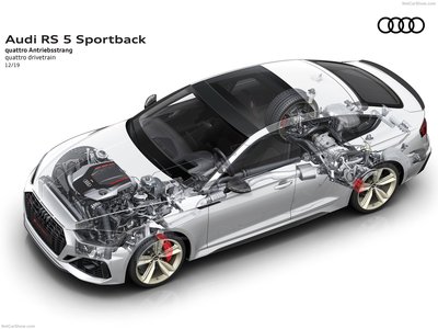Audi RS5 Sportback 2020 stickers 1393226