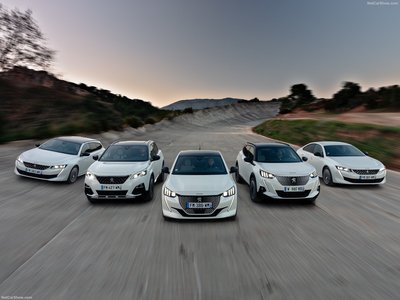 Peugeot e-2008 2020 stickers 1395374