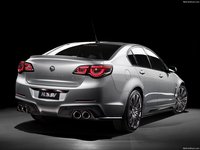 HSV Gen-F2 2016 Poster 1398473