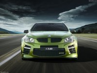 HSV Gen-F2 2016 Poster 1398475