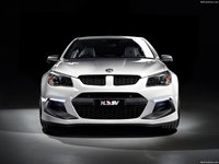 HSV Gen-F2 2016 Poster 1398492