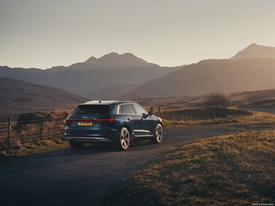 Audi e-tron [UK] 2020 stickers 1403442