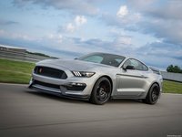 Ford Mustang Shelby GT350R 2020 Poster 1405907