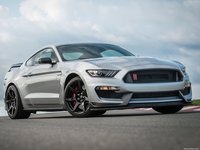 Ford Mustang Shelby GT350R 2020 Poster 1405909