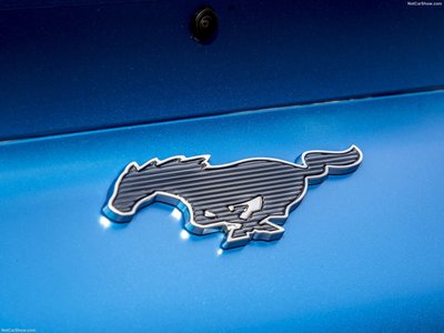 Ford Mustang Mach-E 2021 stickers 1407445