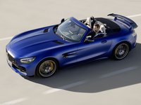 Mercedes-Benz AMG GT R Roadster 2020 stickers 1408131